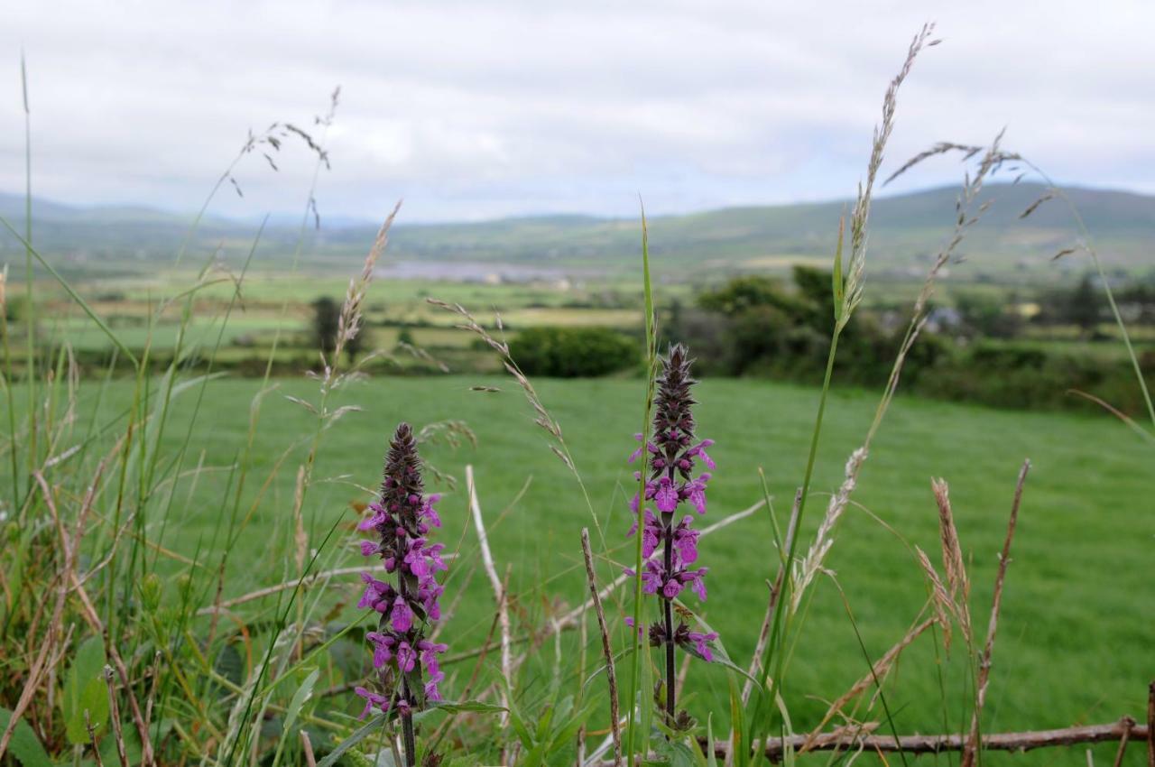 Short Strand Dingle Emlagh East Esterno foto